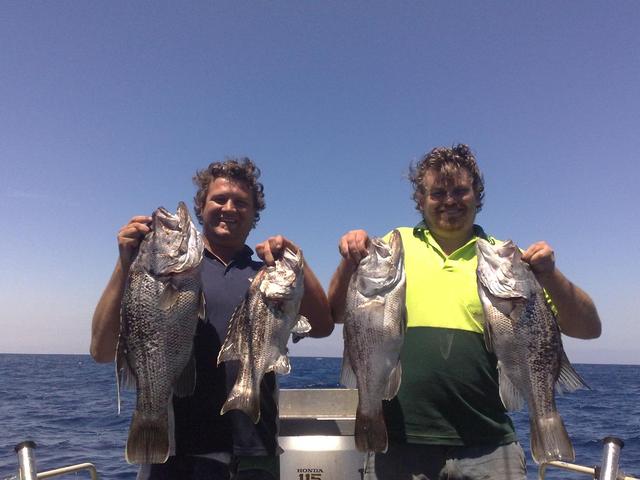 Bunbury fish today